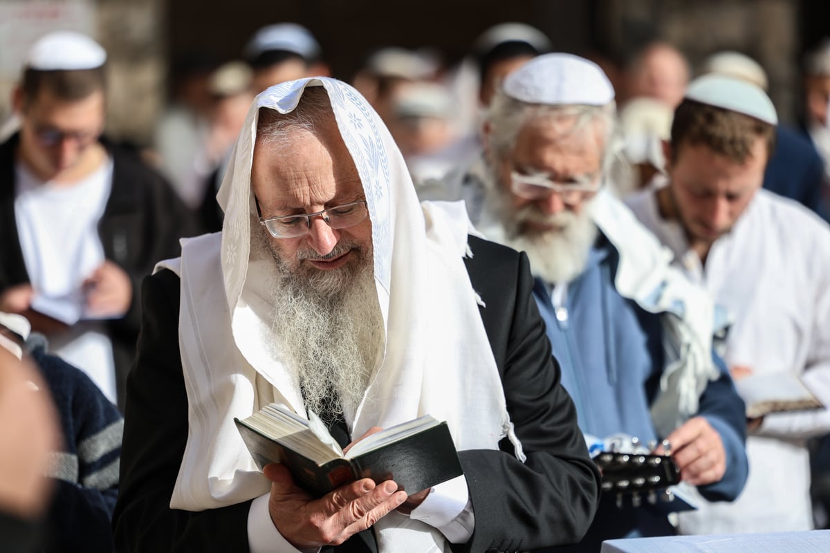 המונים בתפילת הלל חגיגית בעיר העתיקה בצפת | גלריה מיוחדת