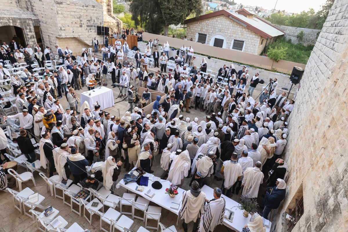 המונים בתפילת הלל חגיגית בעיר העתיקה בצפת | גלריה מיוחדת