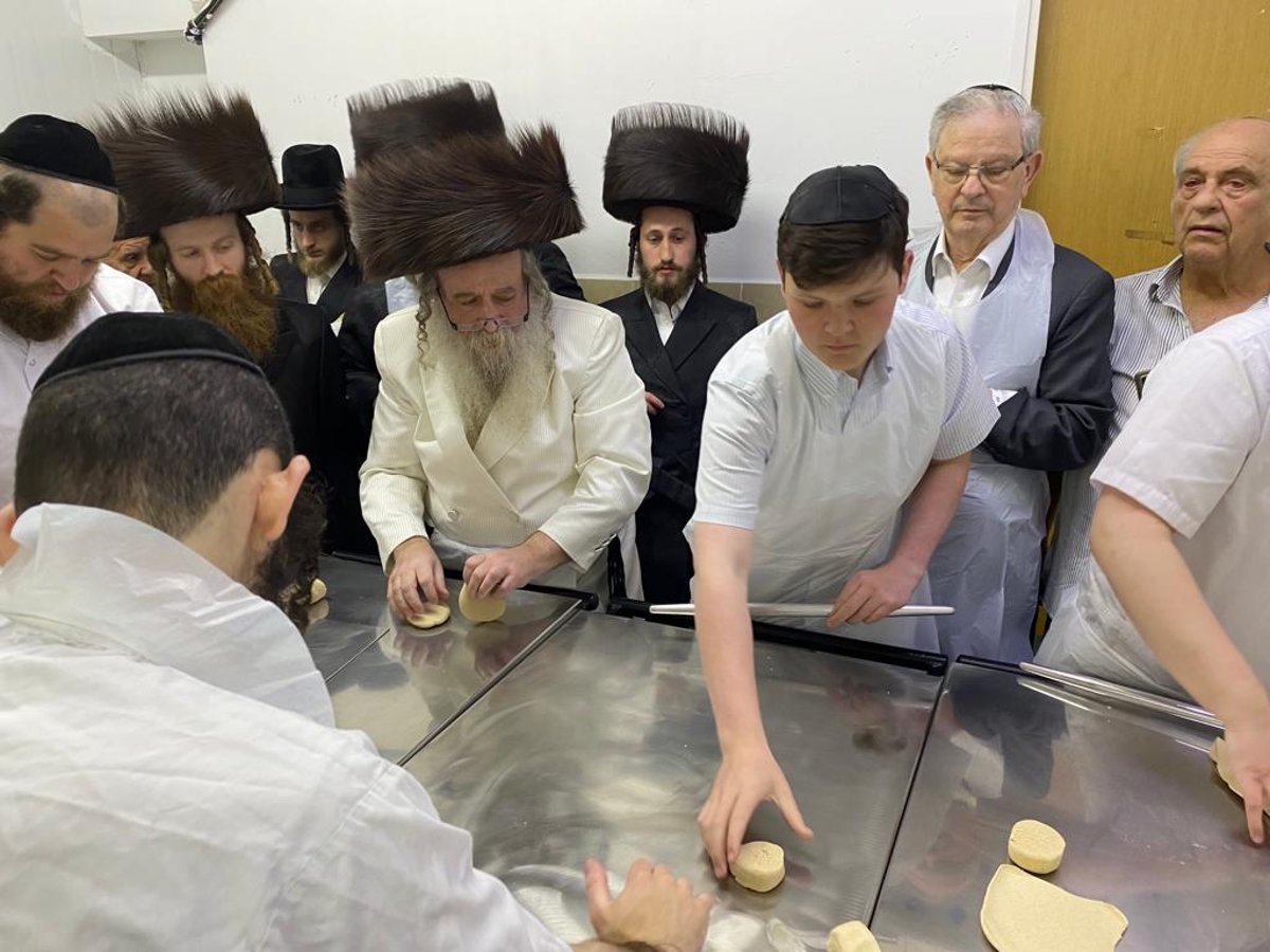 זופניק בכיכר • כל התמונות והנייעס של ערב פסח | מהדורה מיוחדת