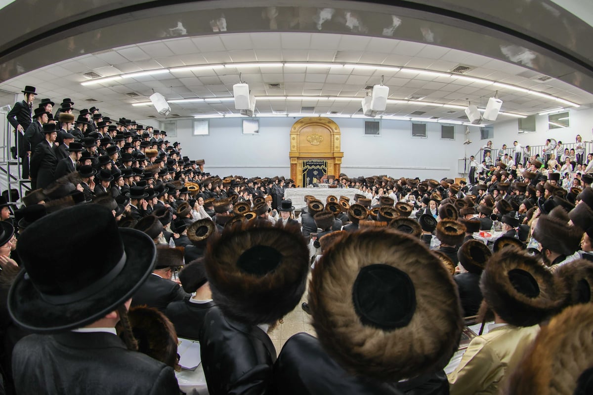 מעמד הקבלת פני רבו בחצר רחמיסטריווקא | צפו