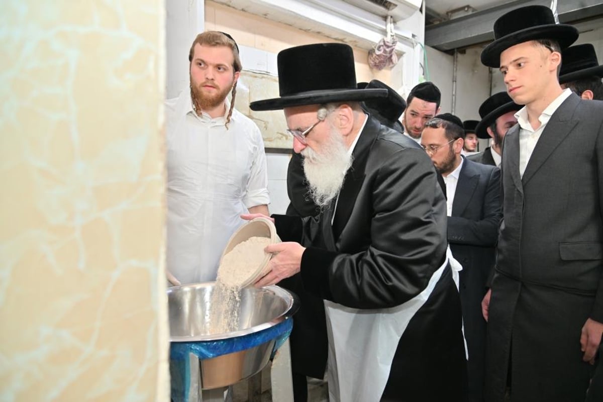 חג הפסח בחצר הקודש ויז'ניץ | תיעוד מסכם