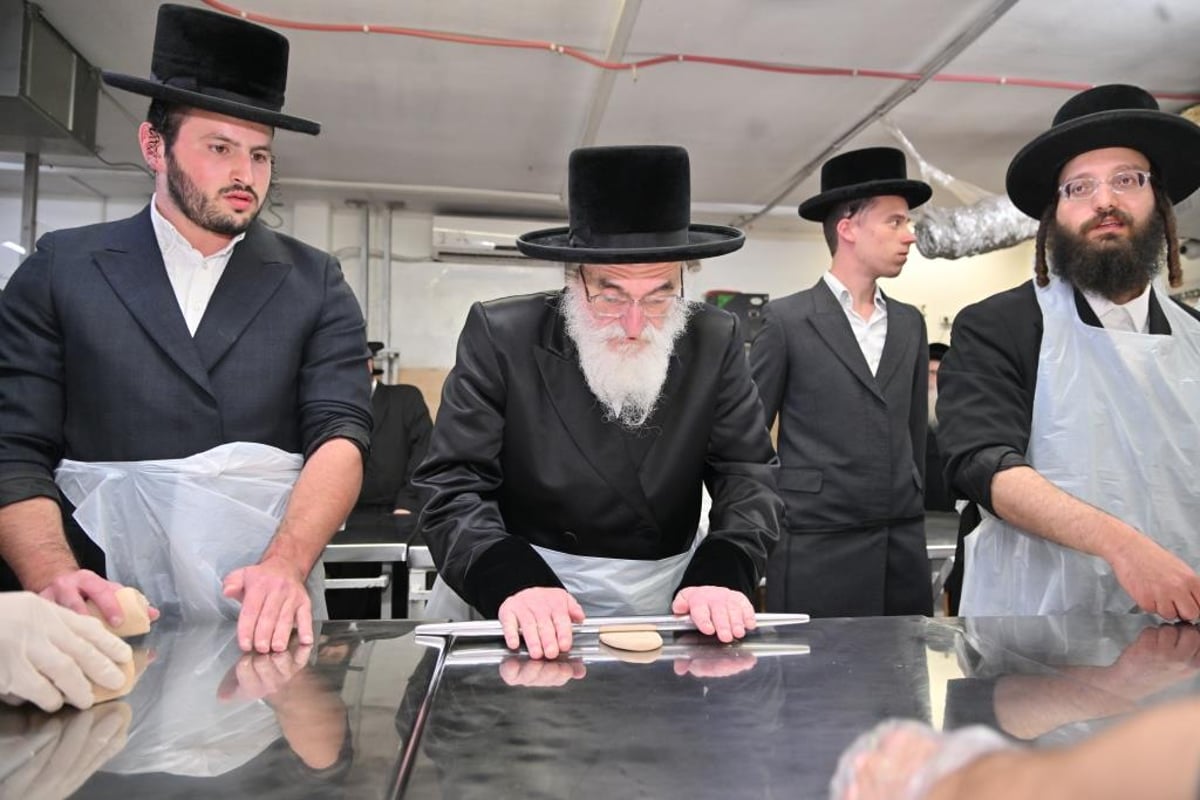 חג הפסח בחצר הקודש ויז'ניץ | תיעוד מסכם