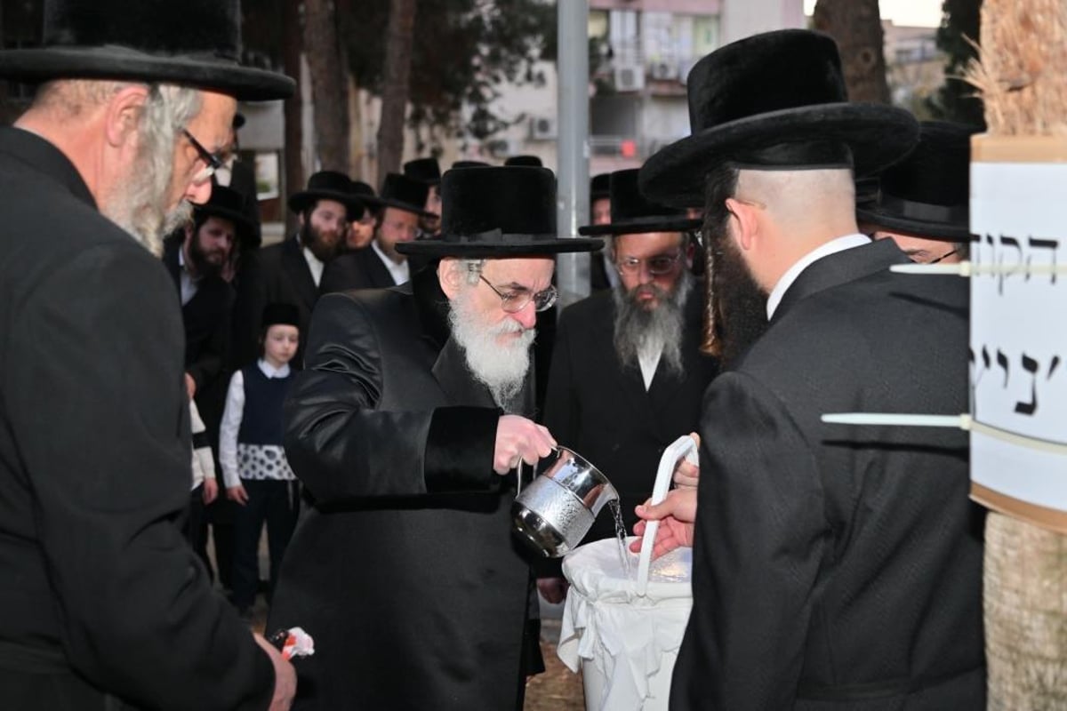 חג הפסח בחצר הקודש ויז'ניץ | תיעוד מסכם