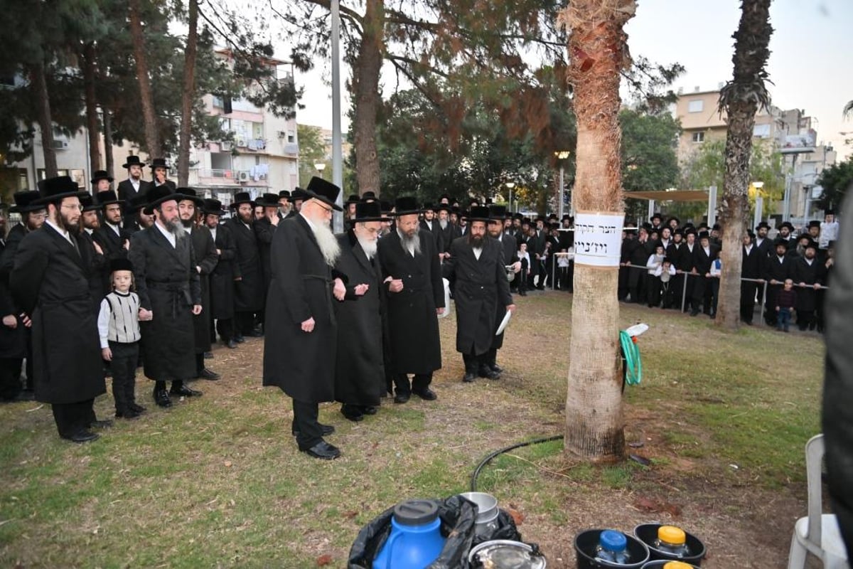 חג הפסח בחצר הקודש ויז'ניץ | תיעוד מסכם