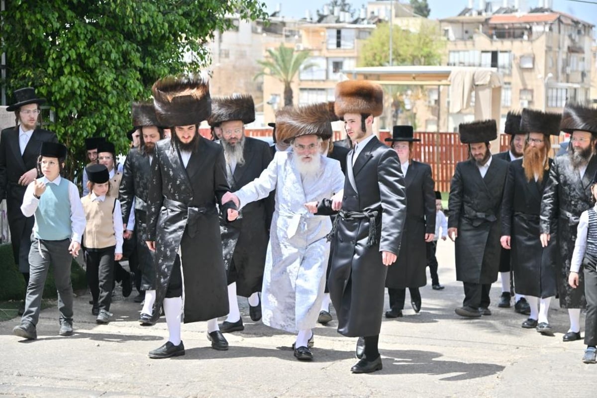 חג הפסח בחצר הקודש ויז'ניץ | תיעוד מסכם