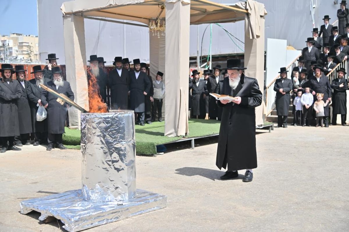 חג הפסח בחצר הקודש ויז'ניץ | תיעוד מסכם