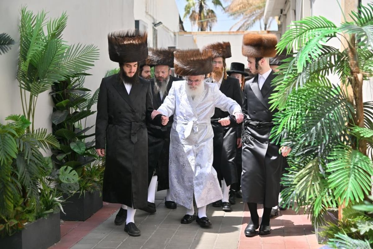 חג הפסח בחצר הקודש ויז'ניץ | תיעוד מסכם