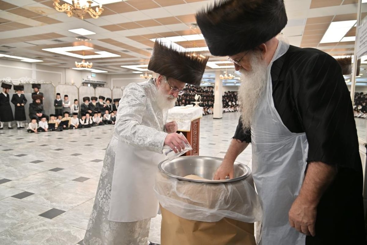 חג הפסח בחצר הקודש ויז'ניץ | תיעוד מסכם