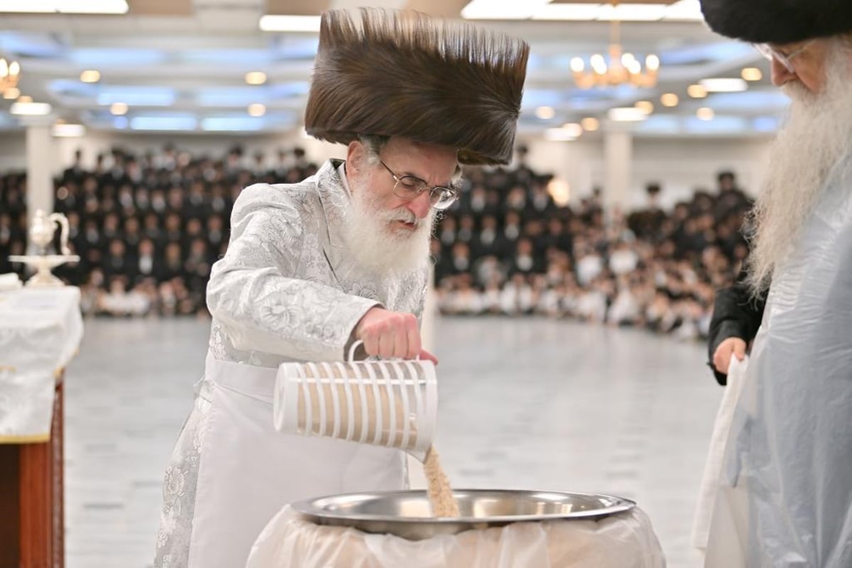 חג הפסח בחצר הקודש ויז'ניץ | תיעוד מסכם