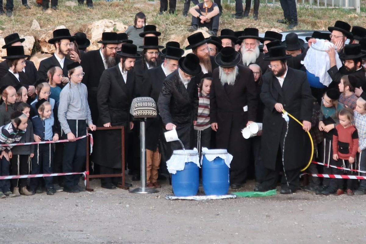 מראות חג הפסח בחצר סערט ויז'ניץ | צפו בגלריה