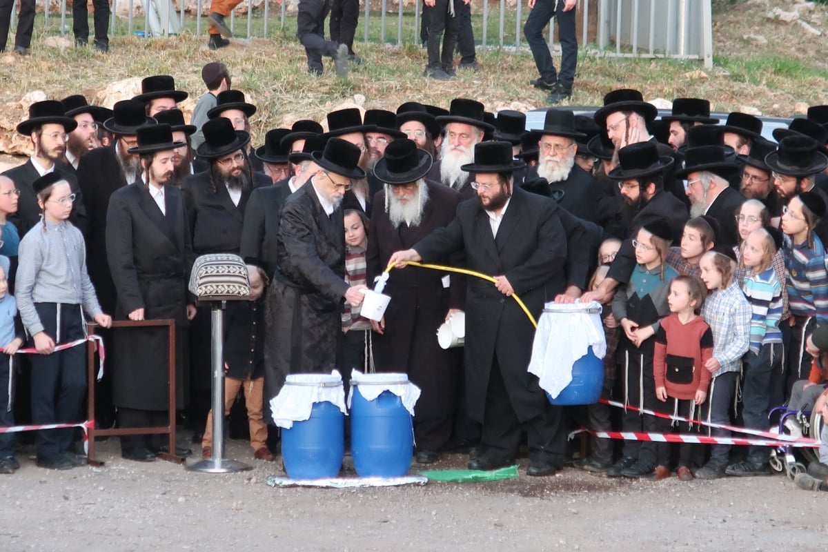 מראות חג הפסח בחצר סערט ויז'ניץ | צפו בגלריה