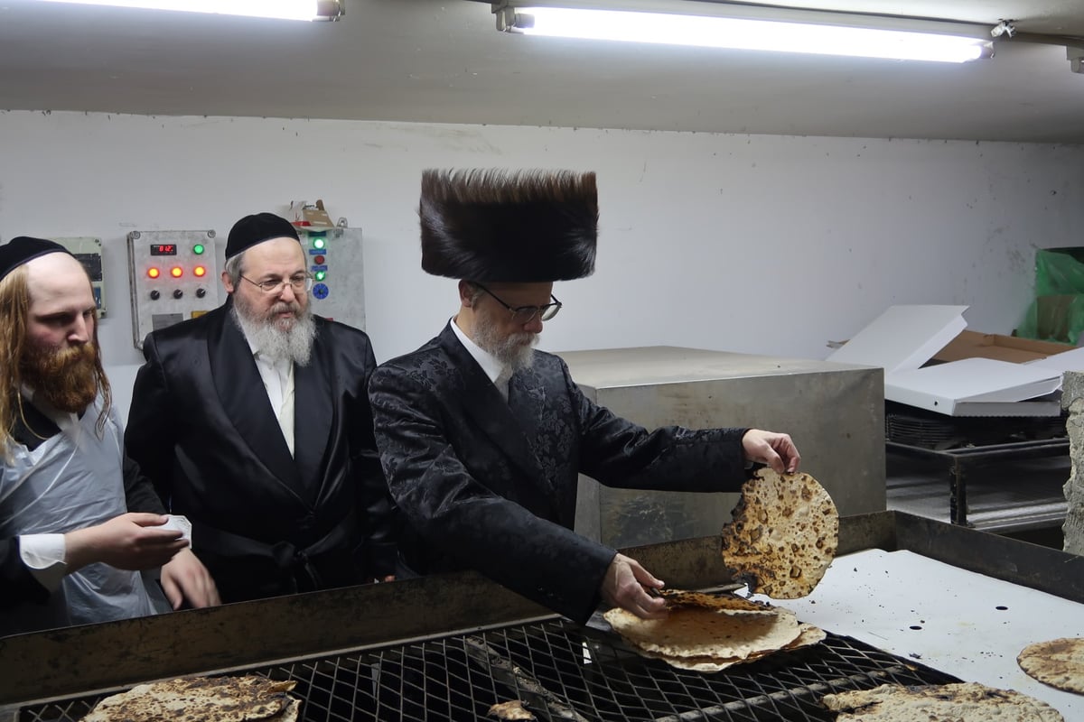 מראות חג הפסח בחצר סערט ויז'ניץ | צפו בגלריה