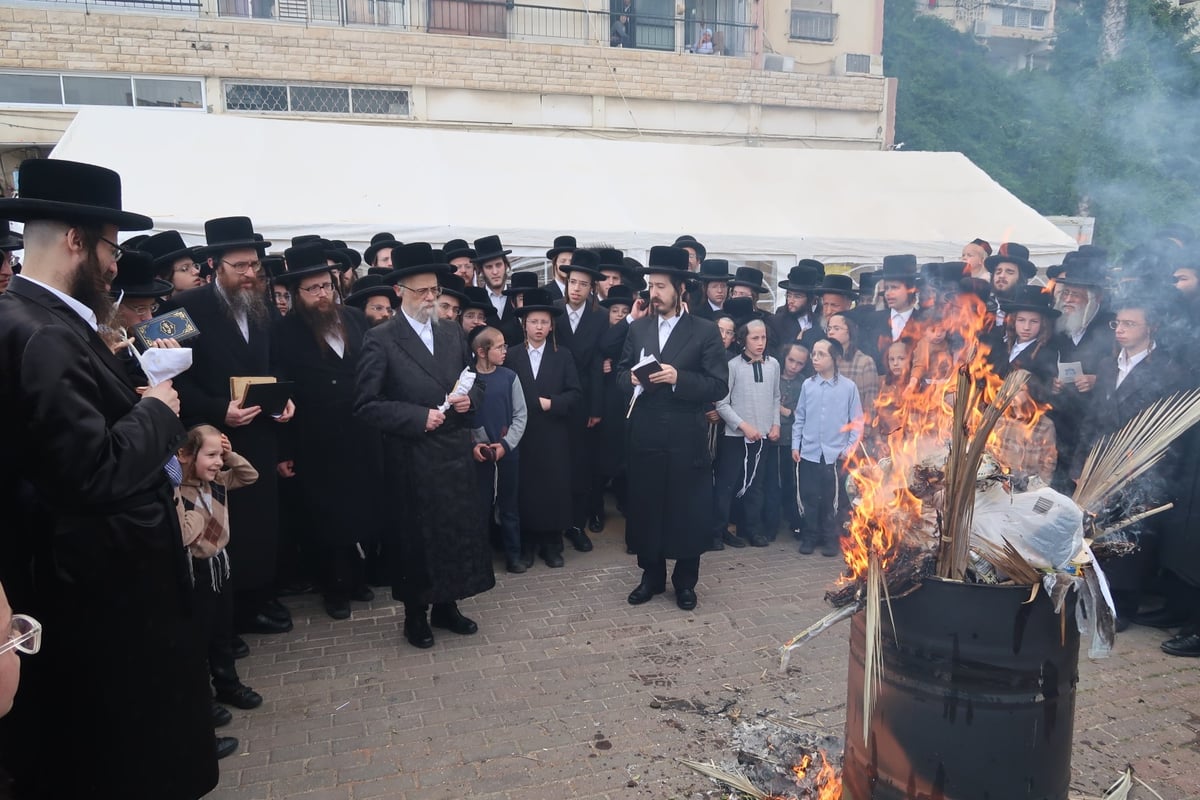 מראות חג הפסח בחצר סערט ויז'ניץ | צפו בגלריה