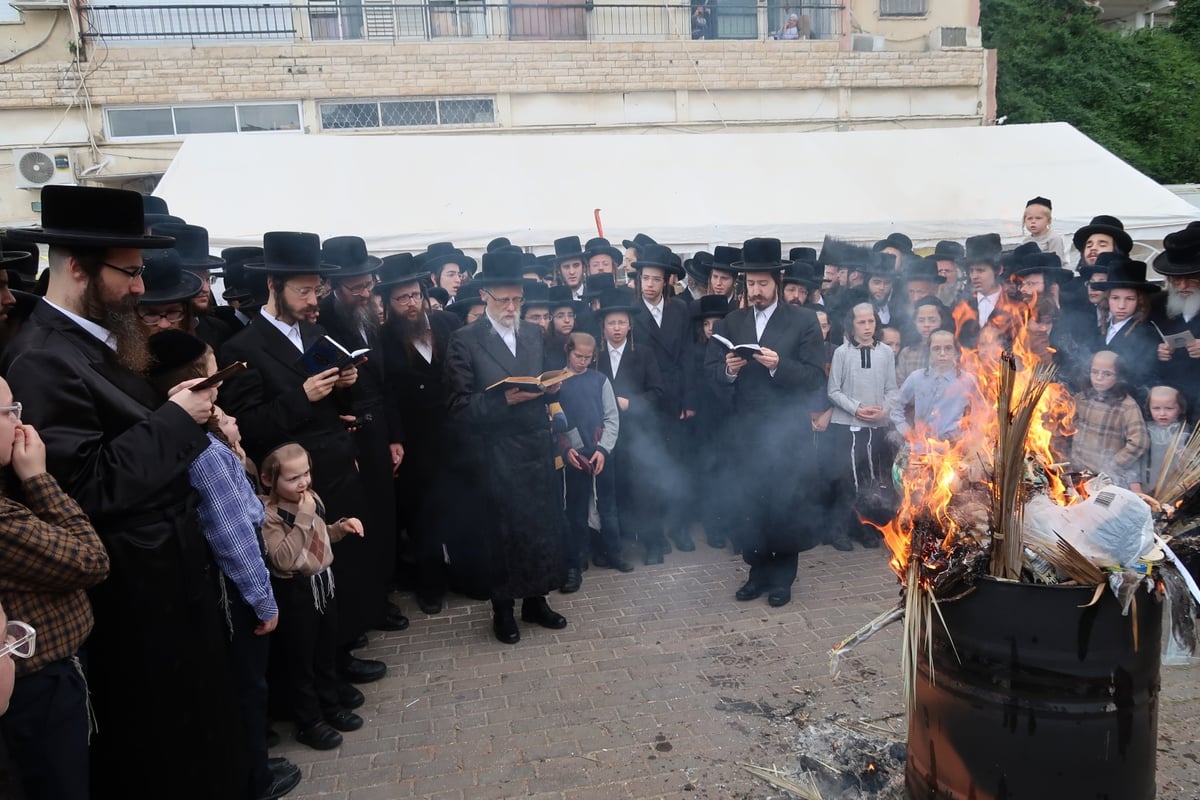 מראות חג הפסח בחצר סערט ויז'ניץ | צפו בגלריה