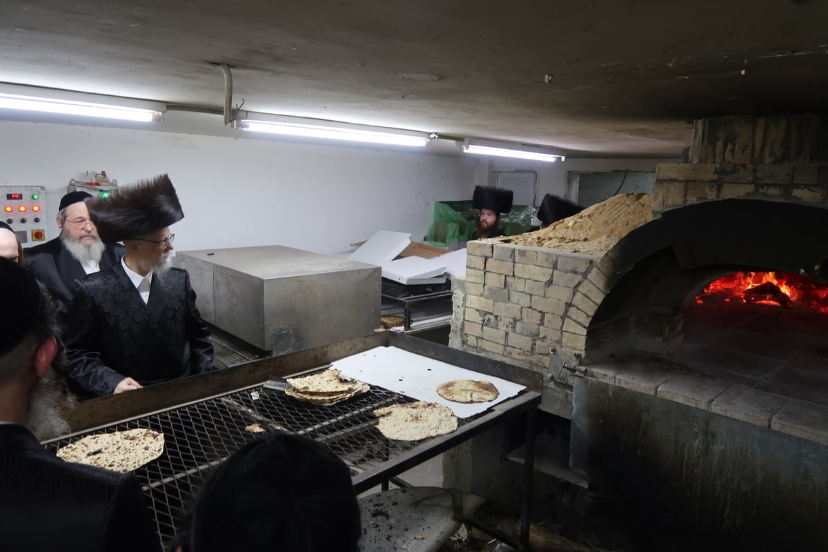 מראות חג הפסח בחצר סערט ויז'ניץ | צפו בגלריה