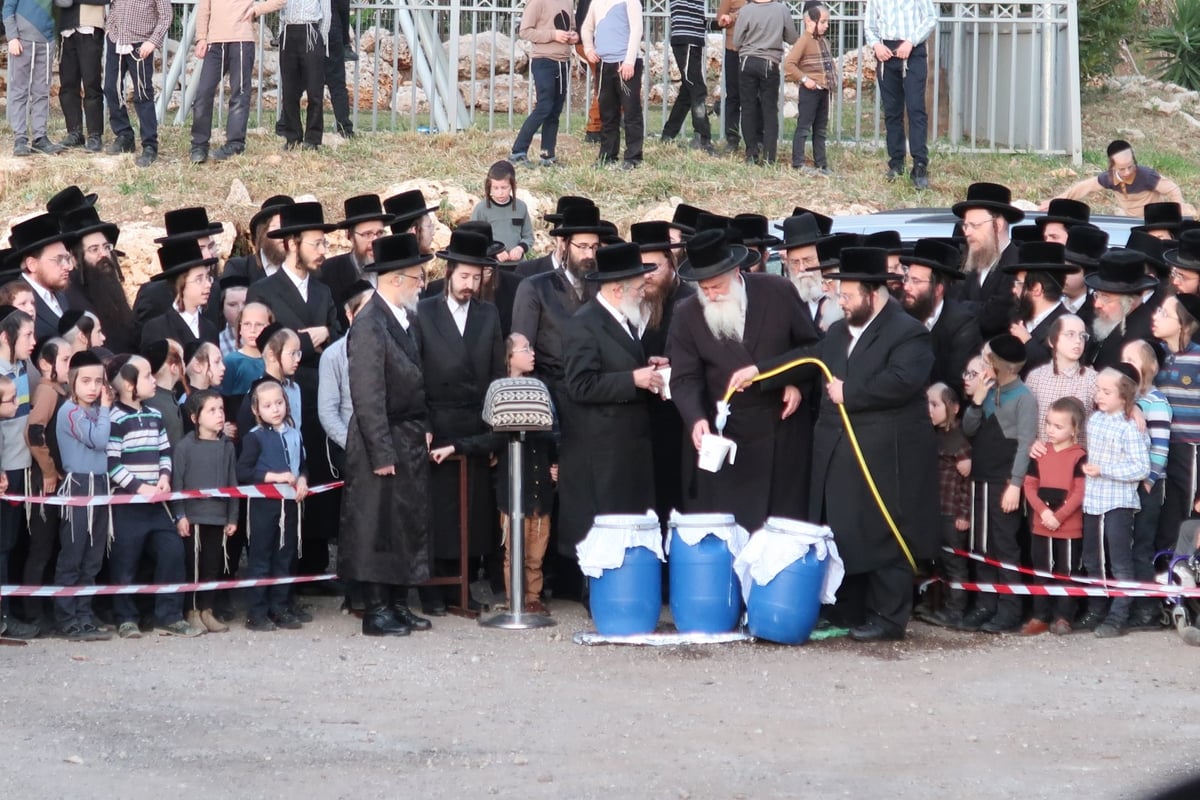 מראות חג הפסח בחצר סערט ויז'ניץ | צפו בגלריה