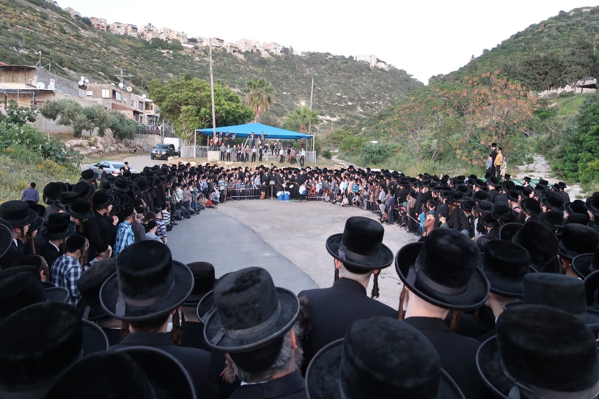 מראות חג הפסח בחצר סערט ויז'ניץ | צפו בגלריה