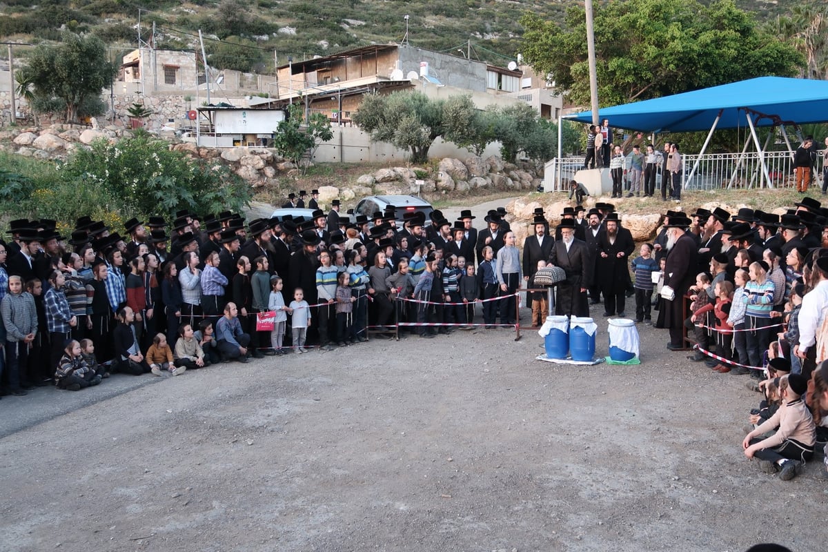 מראות חג הפסח בחצר סערט ויז'ניץ | צפו בגלריה