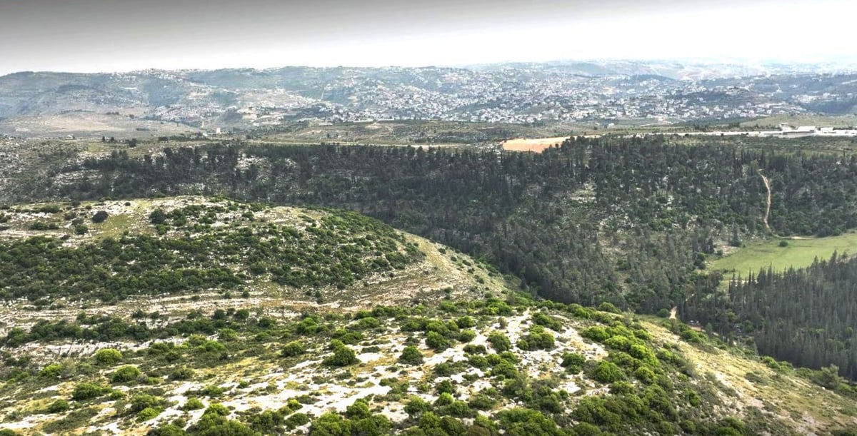 גבעת הקרב בשפלת יהודה