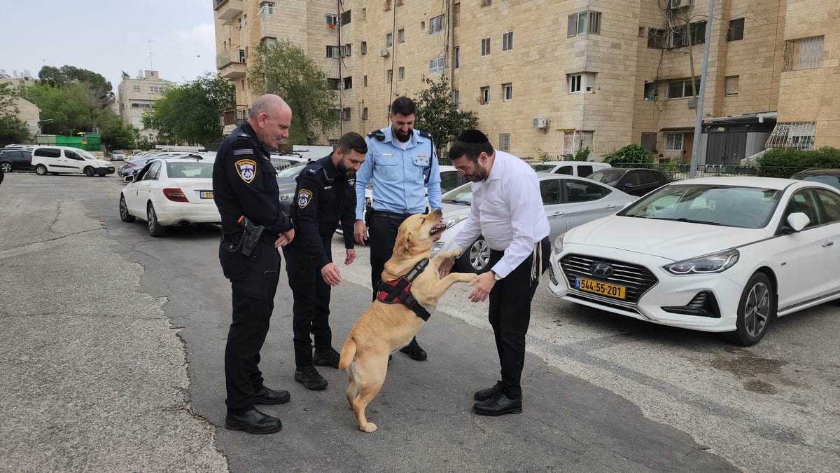 הכלבה שסייעה לטיפול בילדים חרדים, נגנבה; כך היא הוחזרה