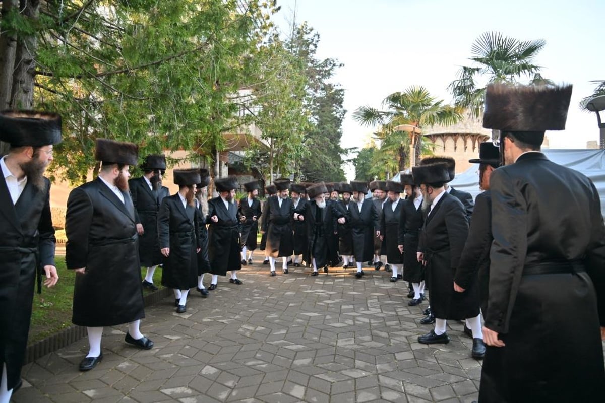 עשרות תורמים בשבת מרוממת עם הרבי מויז'ניץ בגיאורגיה | צפו