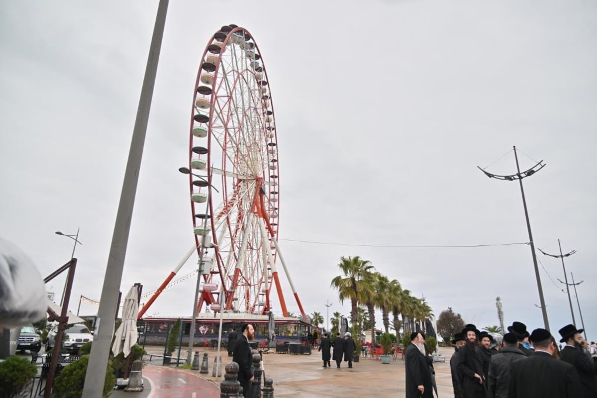 עשרות תורמים בשבת מרוממת עם הרבי מויז'ניץ בגיאורגיה | צפו