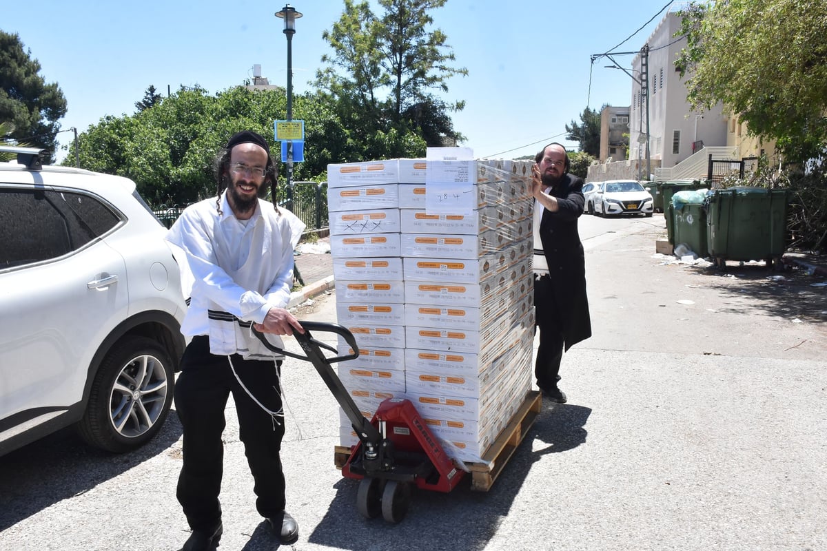 שבוע להילולה: יהודה פרקוביץ תיעד את ההכנות במירון