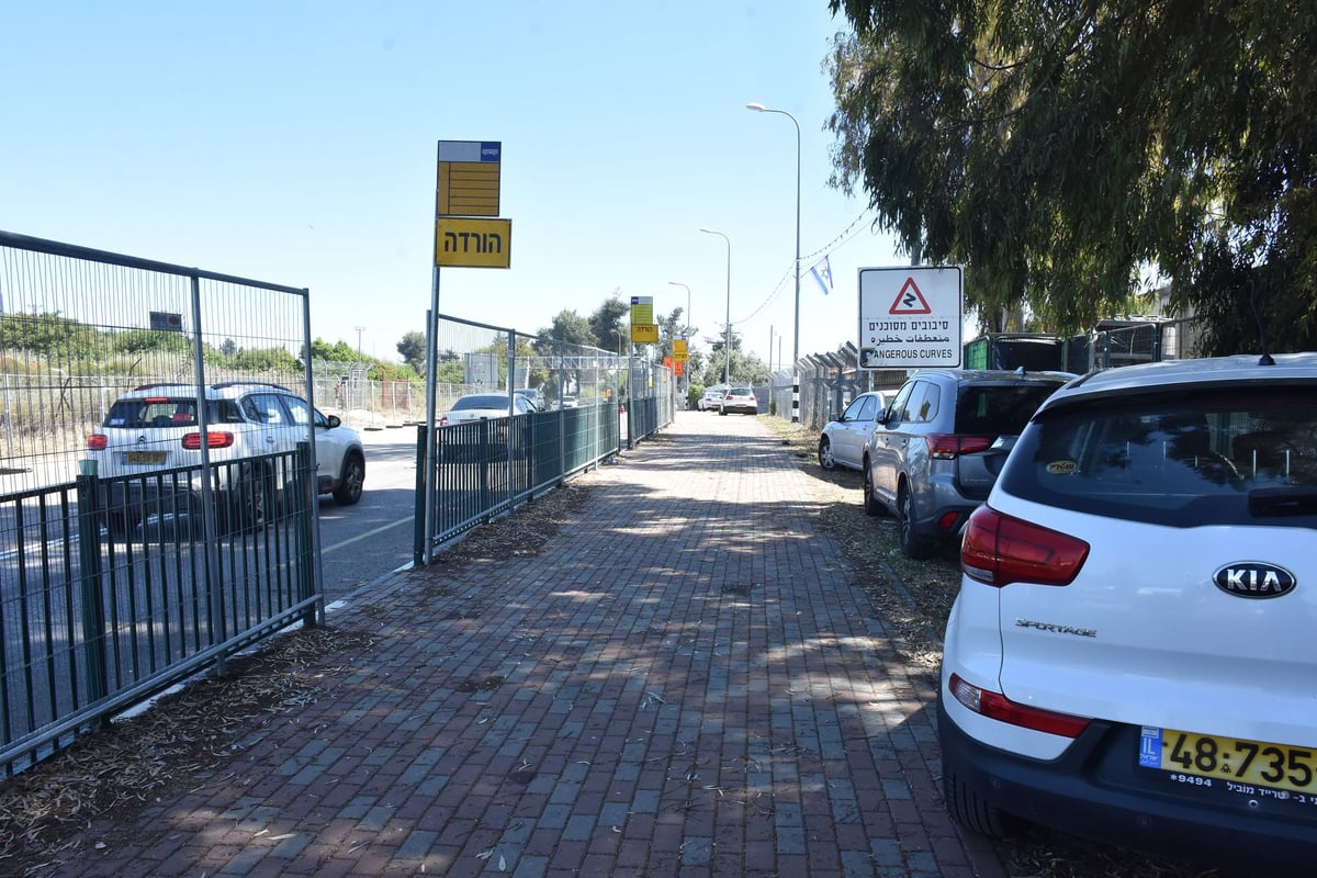 שבוע להילולה: יהודה פרקוביץ תיעד את ההכנות במירון