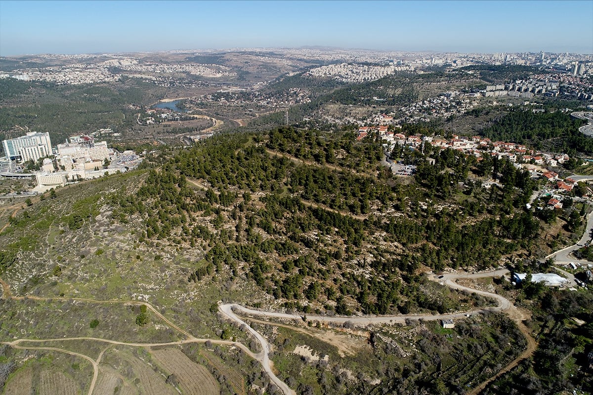 הקרקע עדיין אינה זמינה לבנייה ולכן זהו הטיימינג האידיאלי להשקיע