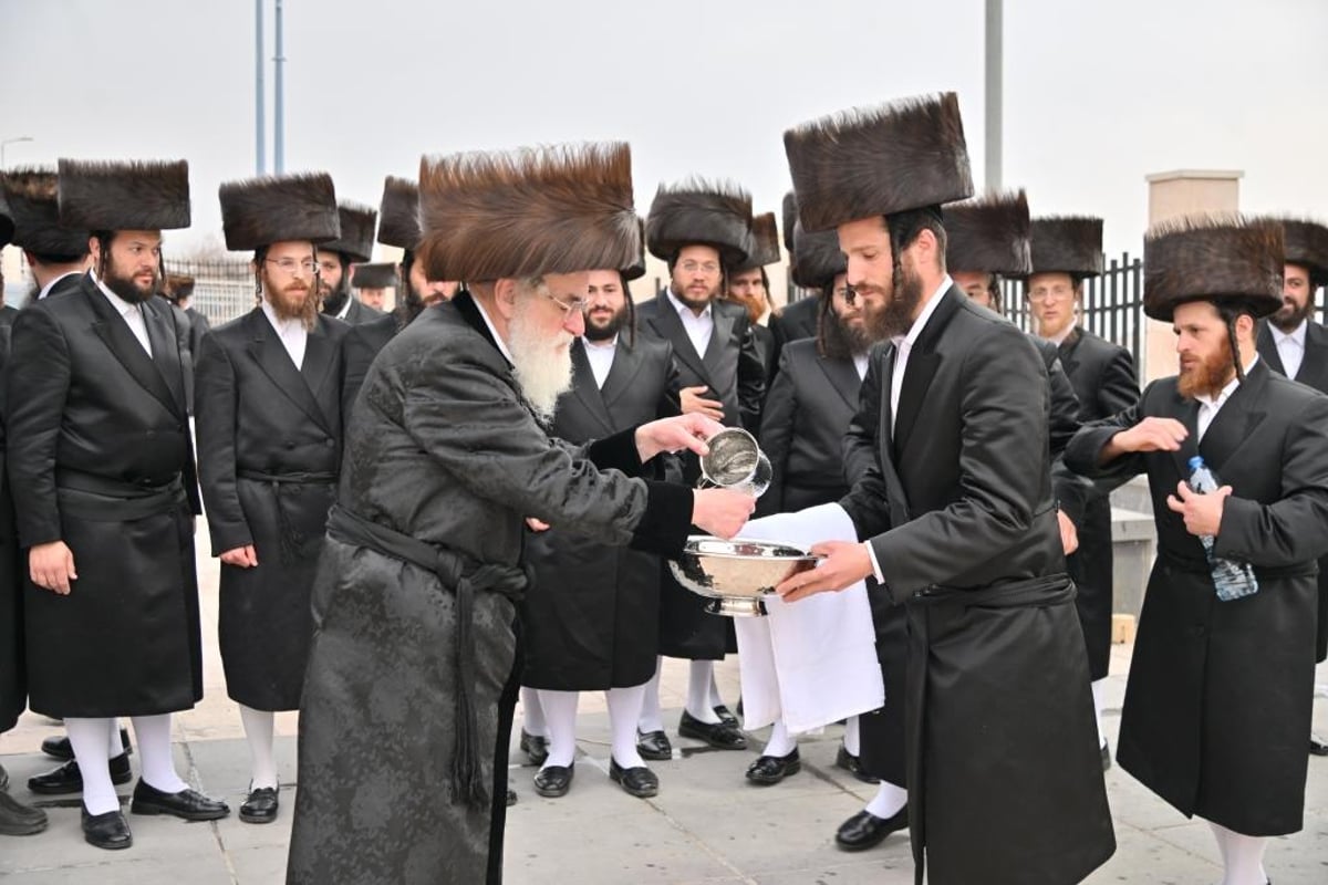 אברכי 'לב ויז'ניץ' העמלים לפרנסתם בשבת התאחדות עם האדמו"ר