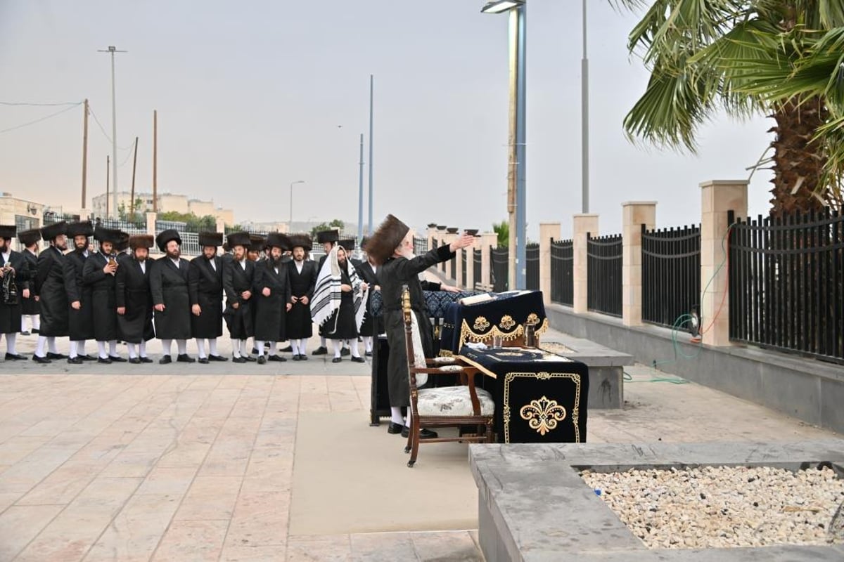 אברכי 'לב ויז'ניץ' העמלים לפרנסתם בשבת התאחדות עם האדמו"ר