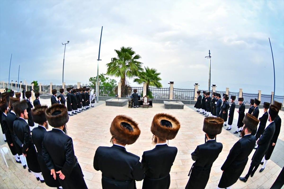 אברכי 'לב ויז'ניץ' העמלים לפרנסתם בשבת התאחדות עם האדמו"ר