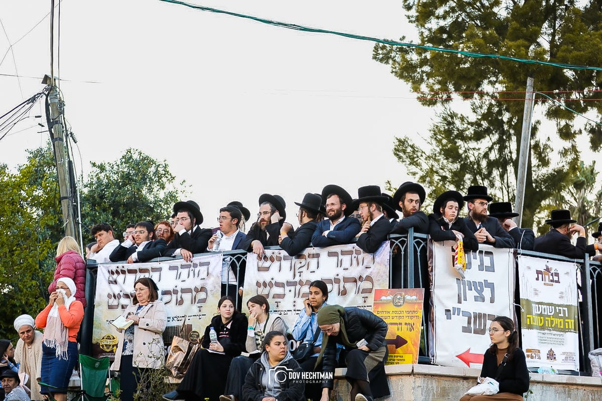 ב-168 תמונות: סיכום החצי הראשון של ל"ג בעומר תשפ"ג