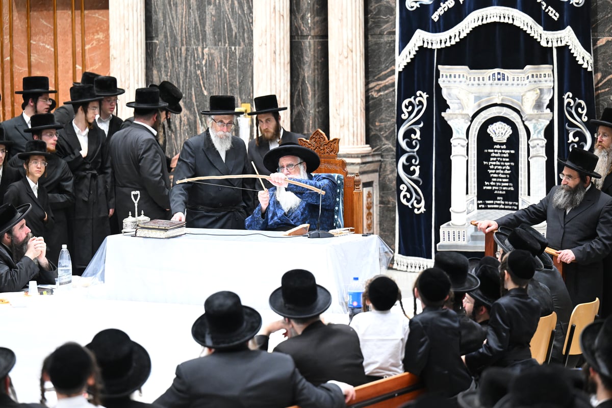 מדורה, ריקוד וחלאקה | ל"ג בעומר בחצר הקודש צאנז