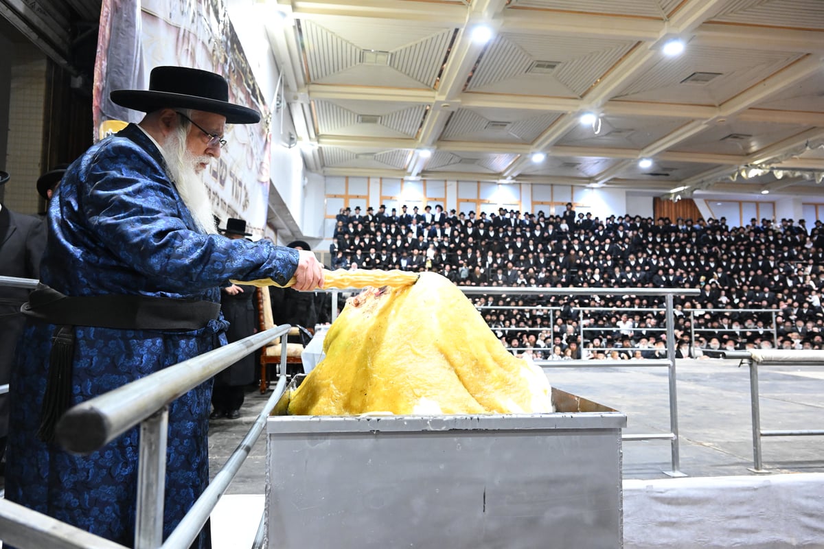 מדורה, ריקוד וחלאקה | ל"ג בעומר בחצר הקודש צאנז