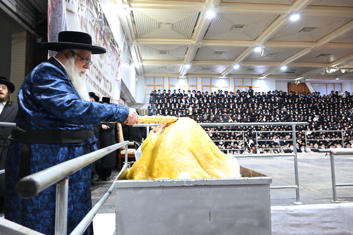 מדורה, ריקוד וחלאקה | ל"ג בעומר בחצר הקודש צאנז