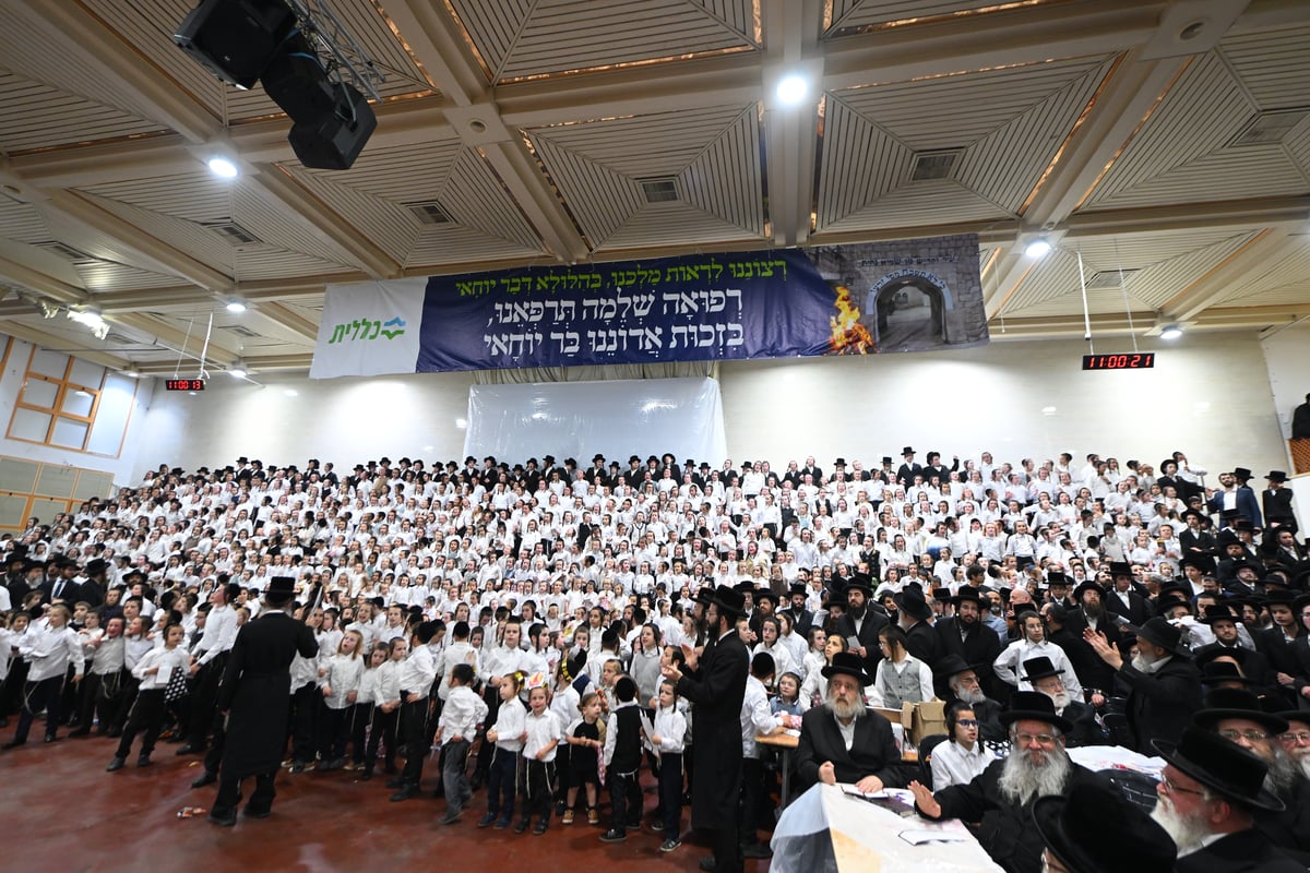 מדורה, ריקוד וחלאקה | ל"ג בעומר בחצר הקודש צאנז