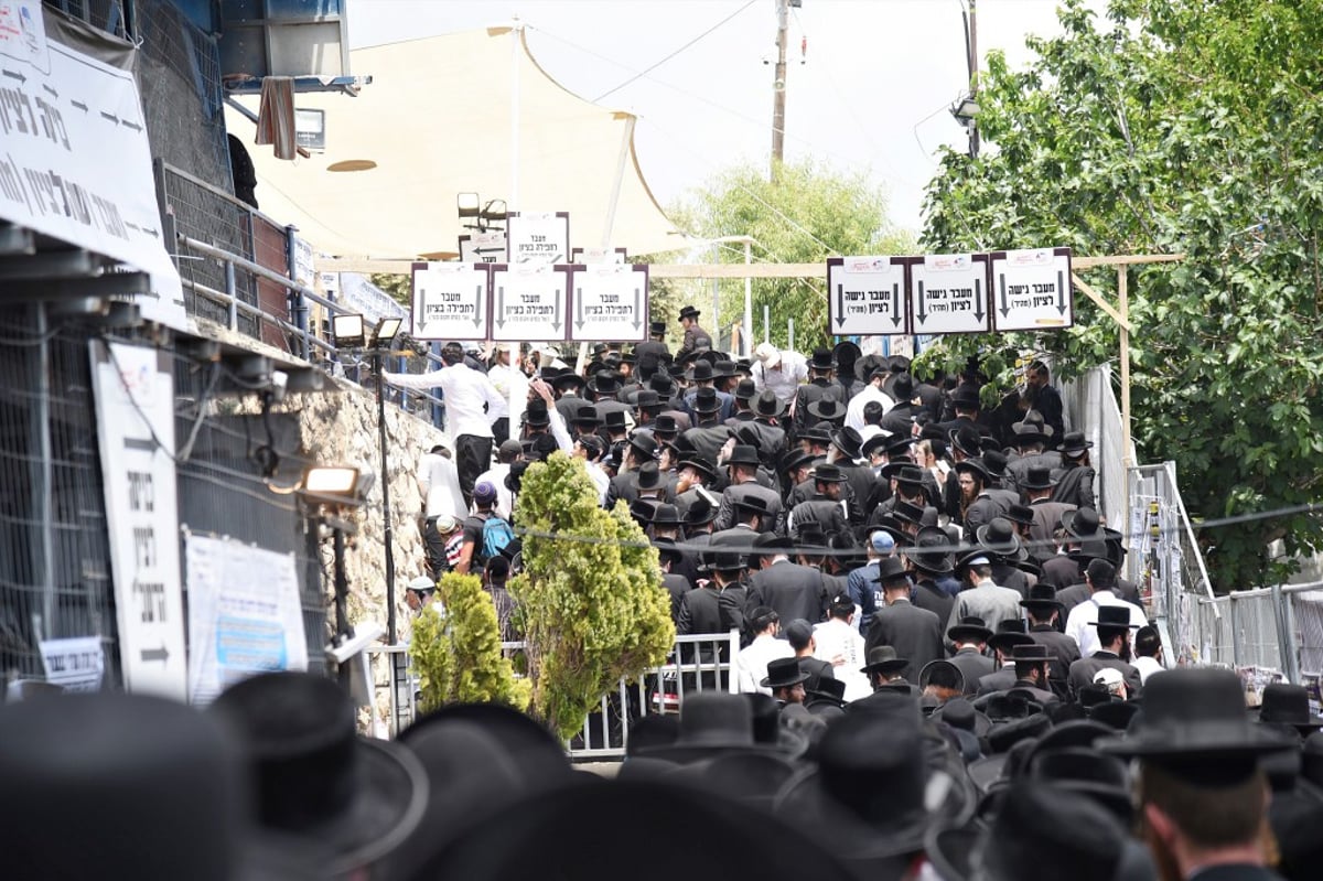 הילולת הרשב"י במירון ב-135 תמונות | תיעוד מסכם