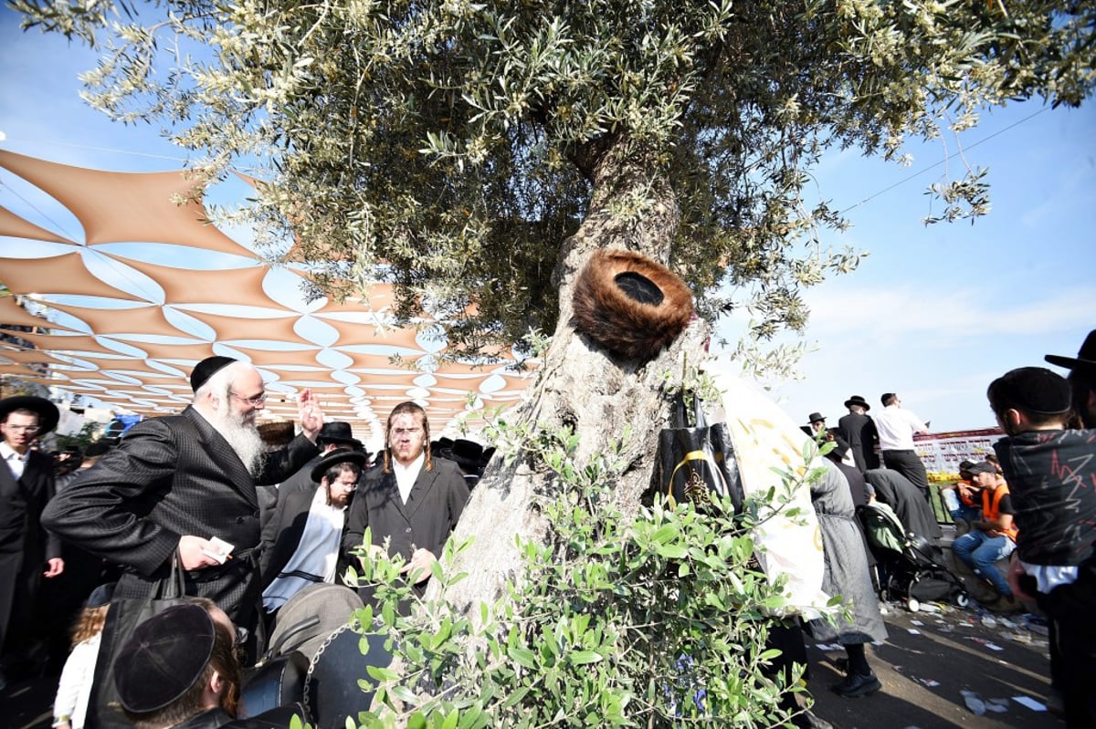 הילולת הרשב"י במירון ב-135 תמונות | תיעוד מסכם