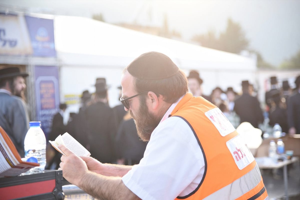 הילולת הרשב"י במירון ב-135 תמונות | תיעוד מסכם