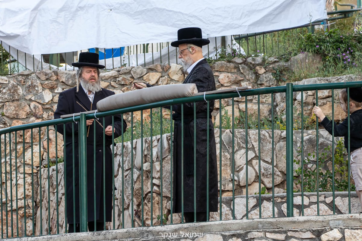 תיעוד: האדמו"ר מסערט ויז'ניץ במנהג חץ וקשת