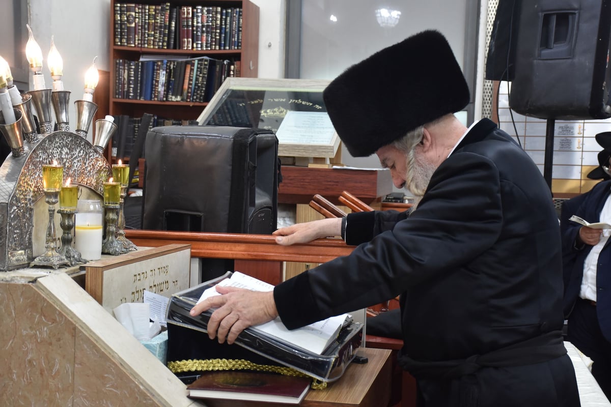 ל"ג בעומר בחצר הקודש אשלג | תיעוד