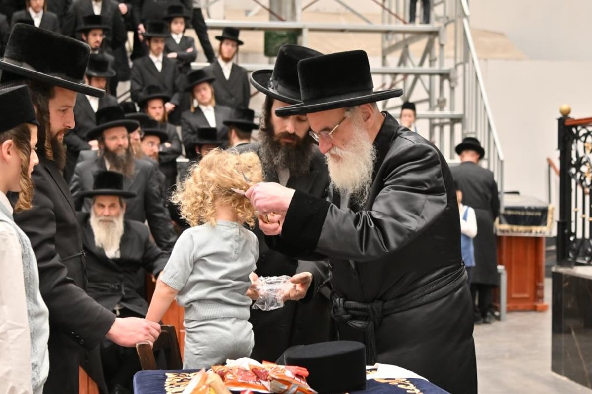 ל"ג בעומר בחצר הקודש ויז'ניץ | תיעוד מסכם