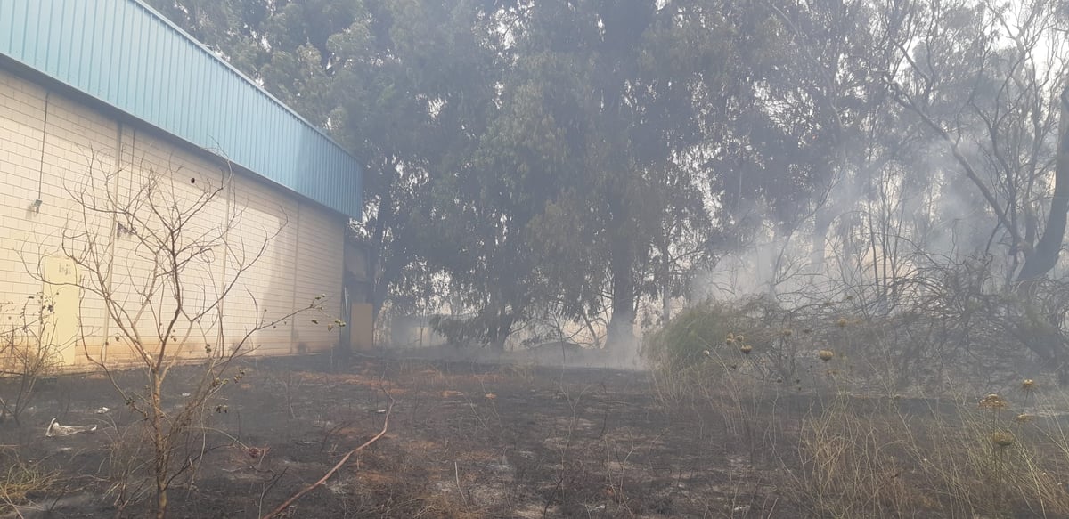 שריפת הענק ליד פתח תקווה: הושגה שליטה בלהבות