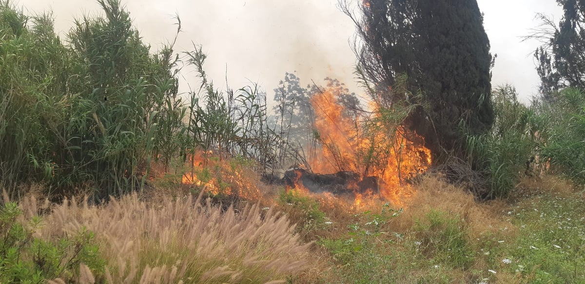 שריפת הענק ליד פתח תקווה: הושגה שליטה בלהבות