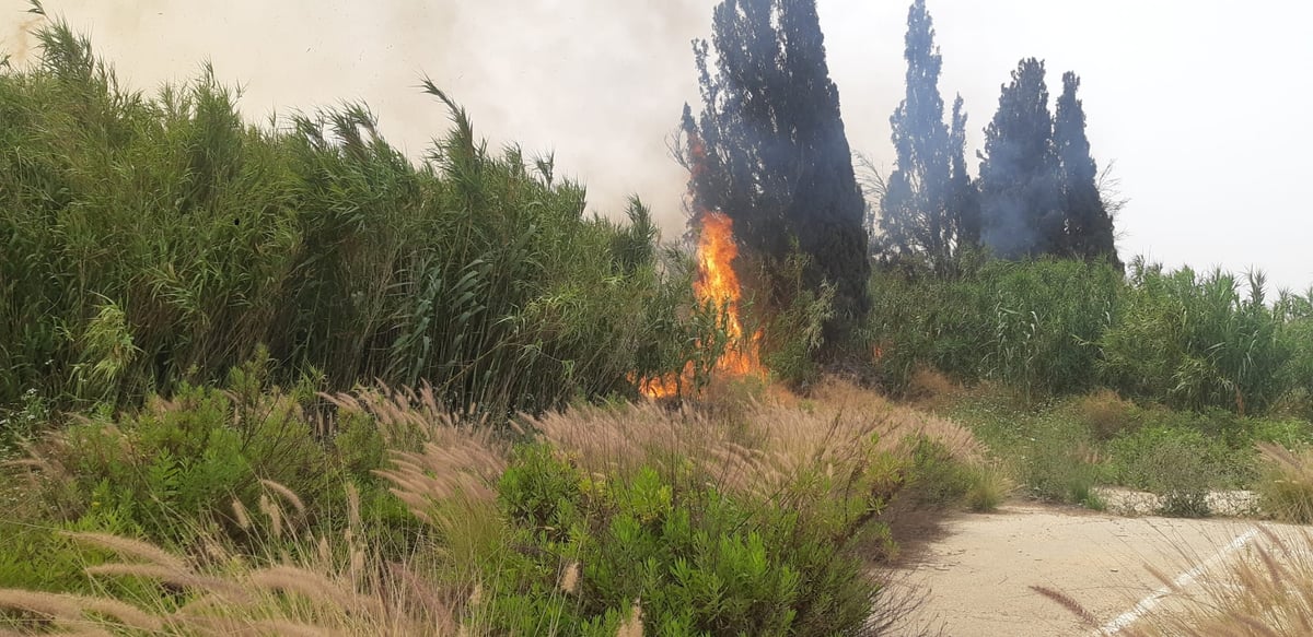 שריפת הענק ליד פתח תקווה: הושגה שליטה בלהבות