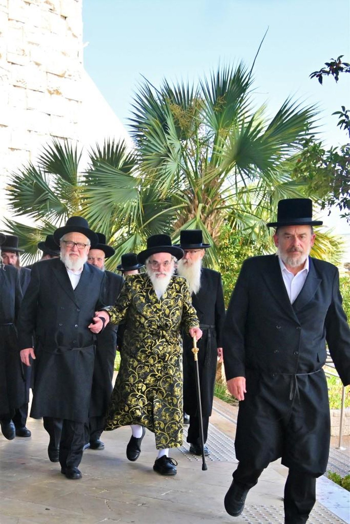 ויז'ניץ חגגה את בואו של הנגיד ר' חיים שטרן | תיעוד נרחב