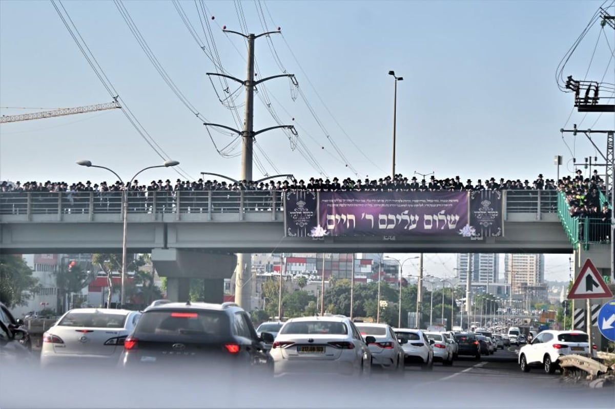 ויז'ניץ חגגה את בואו של הנגיד ר' חיים שטרן | תיעוד נרחב