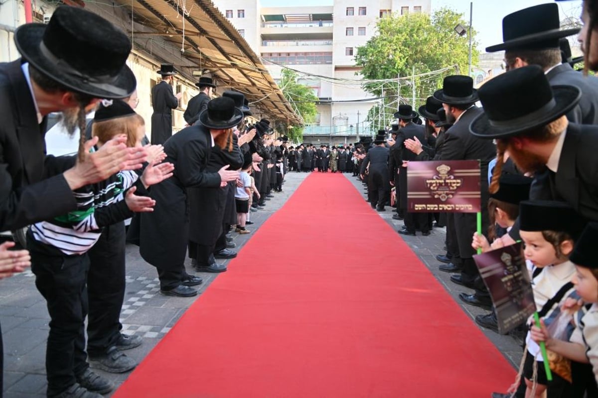 ויז'ניץ חגגה את בואו של הנגיד ר' חיים שטרן | תיעוד נרחב