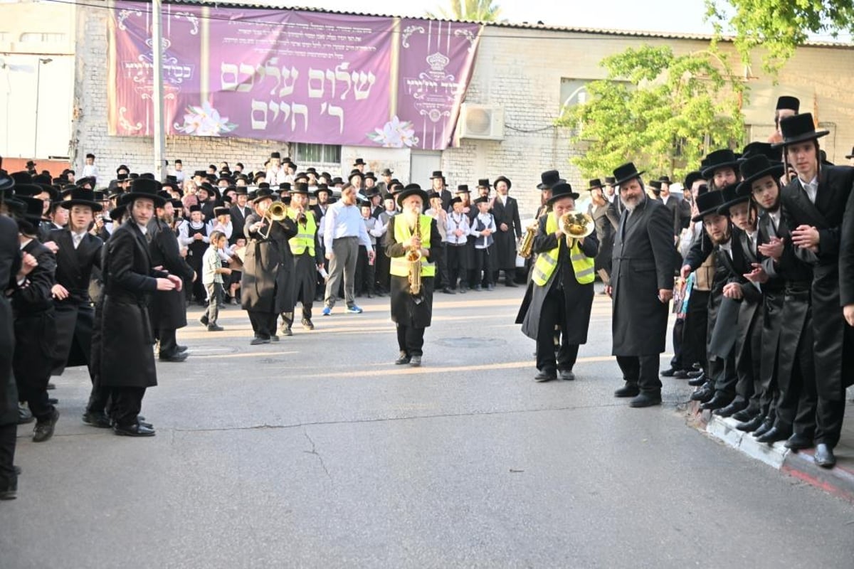 ויז'ניץ חגגה את בואו של הנגיד ר' חיים שטרן | תיעוד נרחב